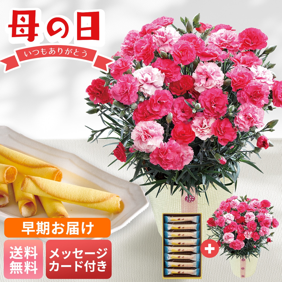 早期お届け 母の日 早割 ギフト プレゼント 贈り物 2026 送料無料カーネーション（さくらもなか）とOIMO MERCI ラングドロールC40-1【GF】