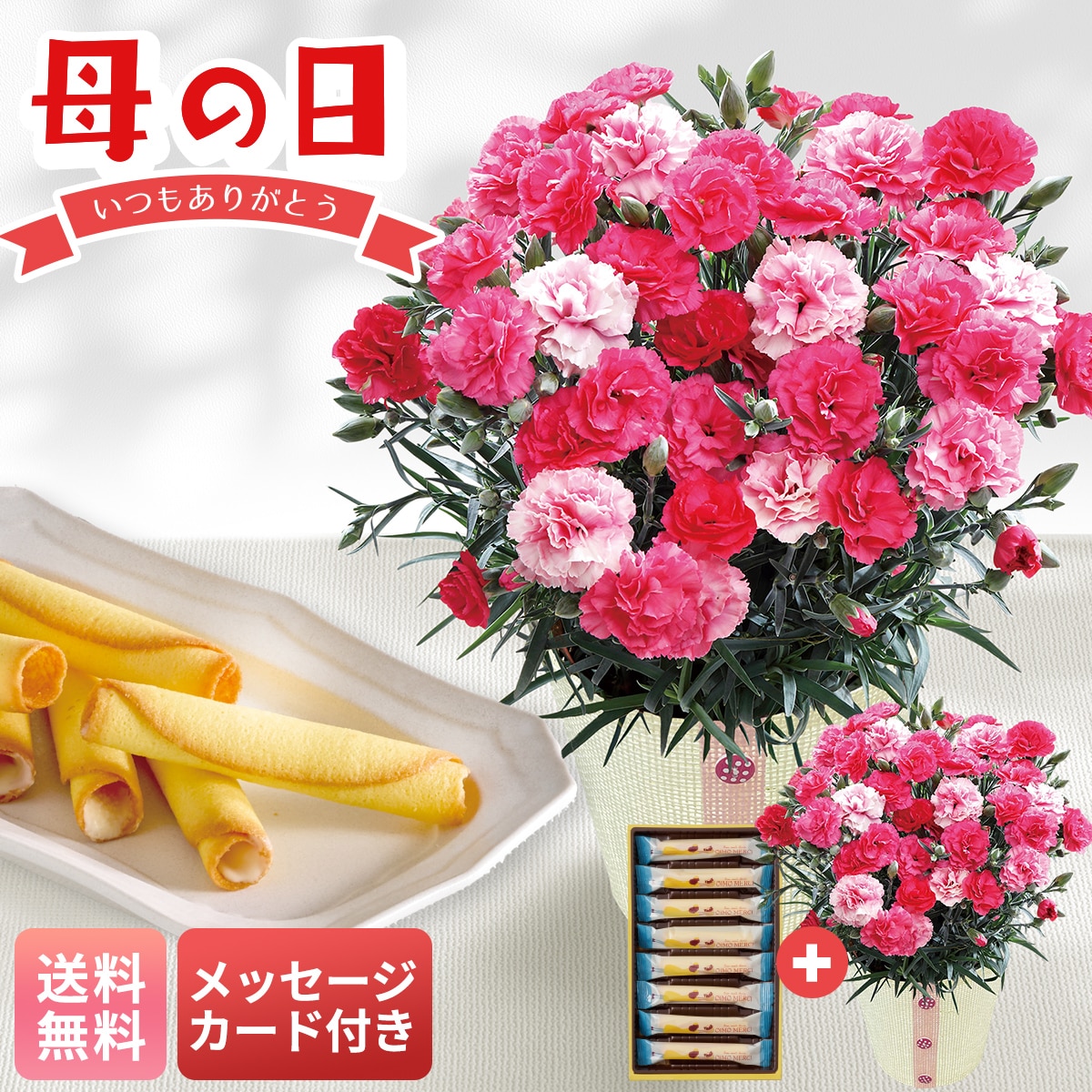 母の日 早割 ギフト プレゼント 贈り物 2026 送料無料カーネーション（さくらもなか）とOIMO MERCI ラングドロールC40-1【GF】