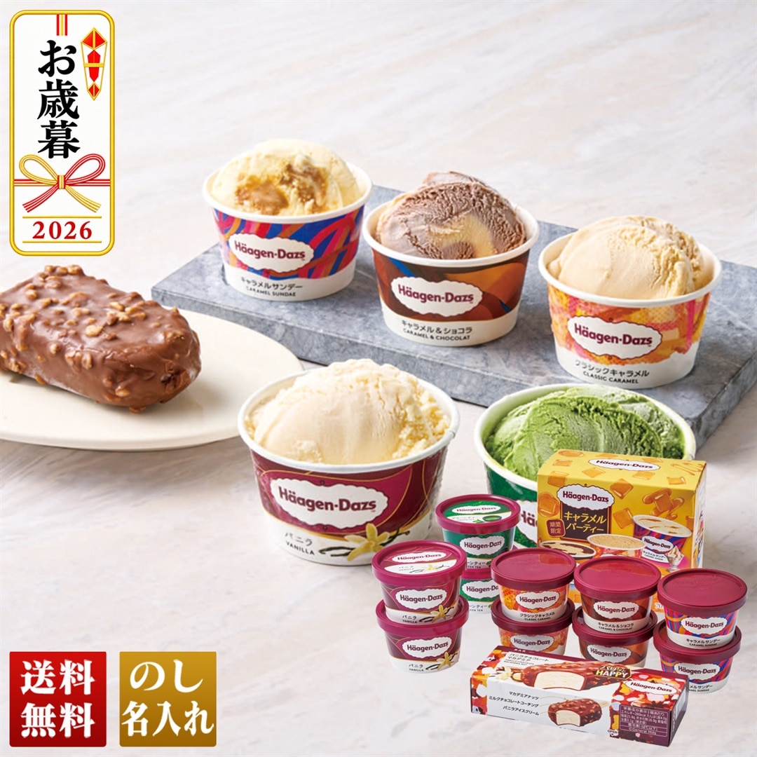 お歳暮 御歳暮 冬ギフト プレゼント 2026 送料無料 「 ハーゲンダッツ 」 アイスクリーム セット バニラアイス ミニカップ アイス バニラチョコレート HDS-2 【GF】