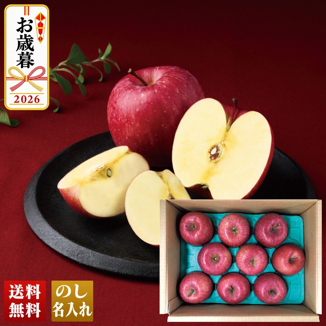 お歳暮 御歳暮 冬ギフト プレゼント 2026 送料無料 JA相馬村 蜜入りサンふじ （みつまるくん）サンふじ 青森県産 りんご リンゴ 林檎 フルーツ 約2.7kg C12-5 【GF】