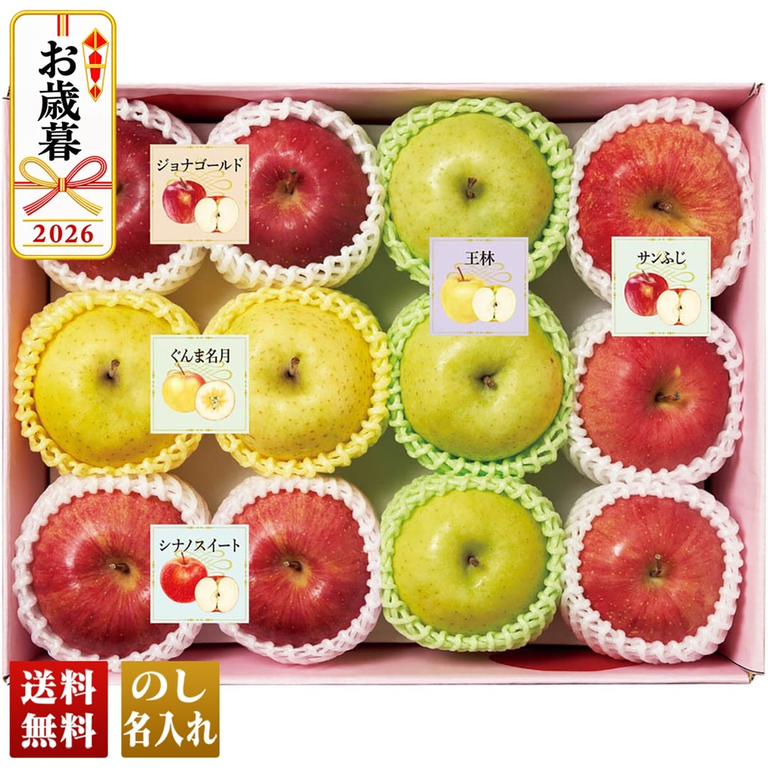 お歳暮 御歳暮 冬ギフト プレゼント 2026 送料無料 りんご5種食べ比べ 長野県産 サンふじ 王林 シナノスイート ぐんま名月 ジョナゴールド Y12-3B 【GF】