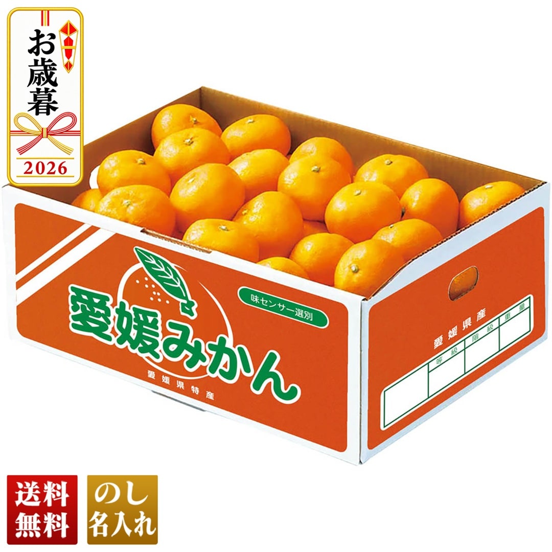 お歳暮 御歳暮 冬ギフト プレゼント 2026 送料無料 愛媛みかん B13-3 【GF】