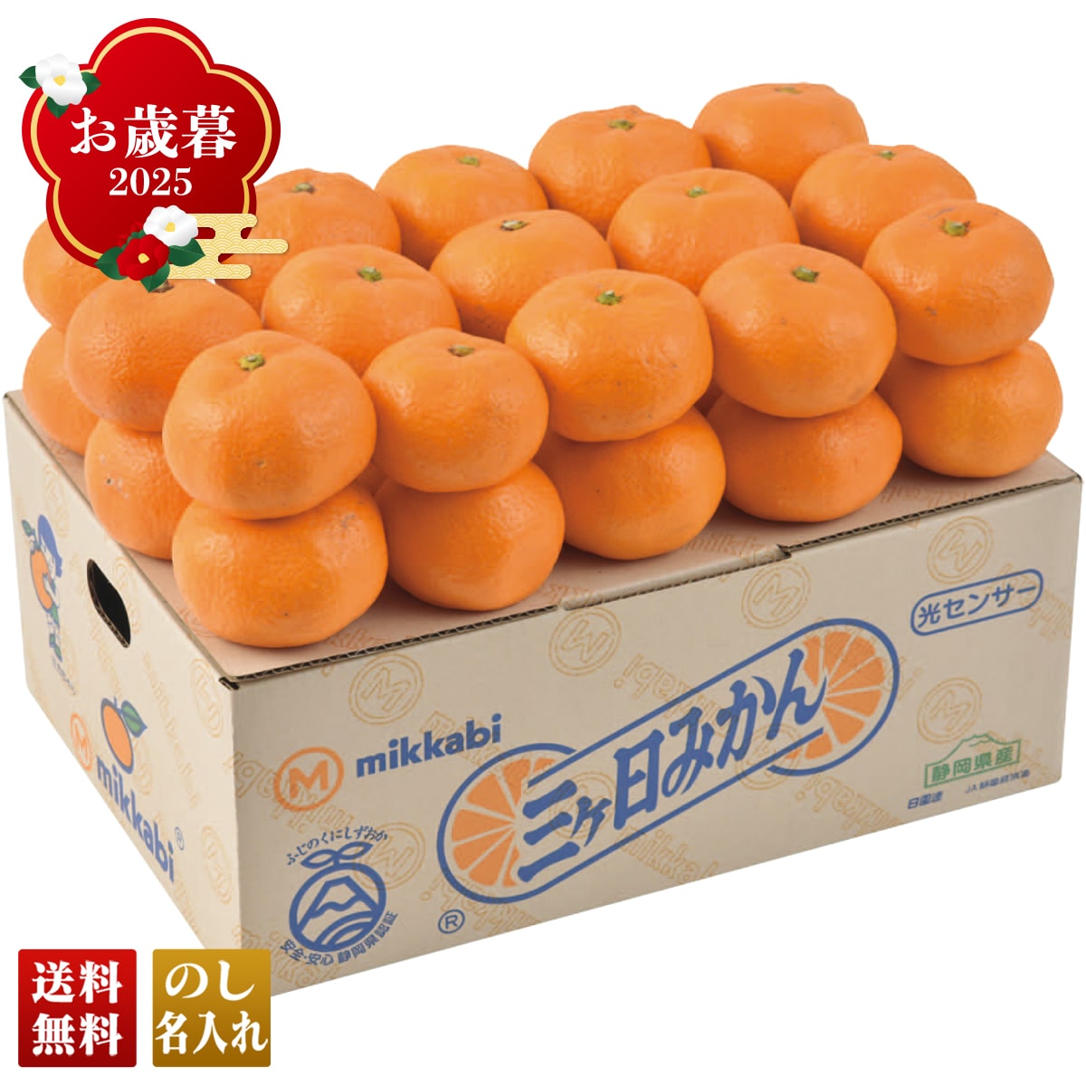 お歳暮 御歳暮 早割 冬ギフト 帰歳暮 ギフト プレゼント 送料無料 ギフト 2025 静岡県産 三ケ日みかん 「A13-1」 フルーツ 果物 みかん ミカン 蜜柑 静岡県産 A13-1【GF】