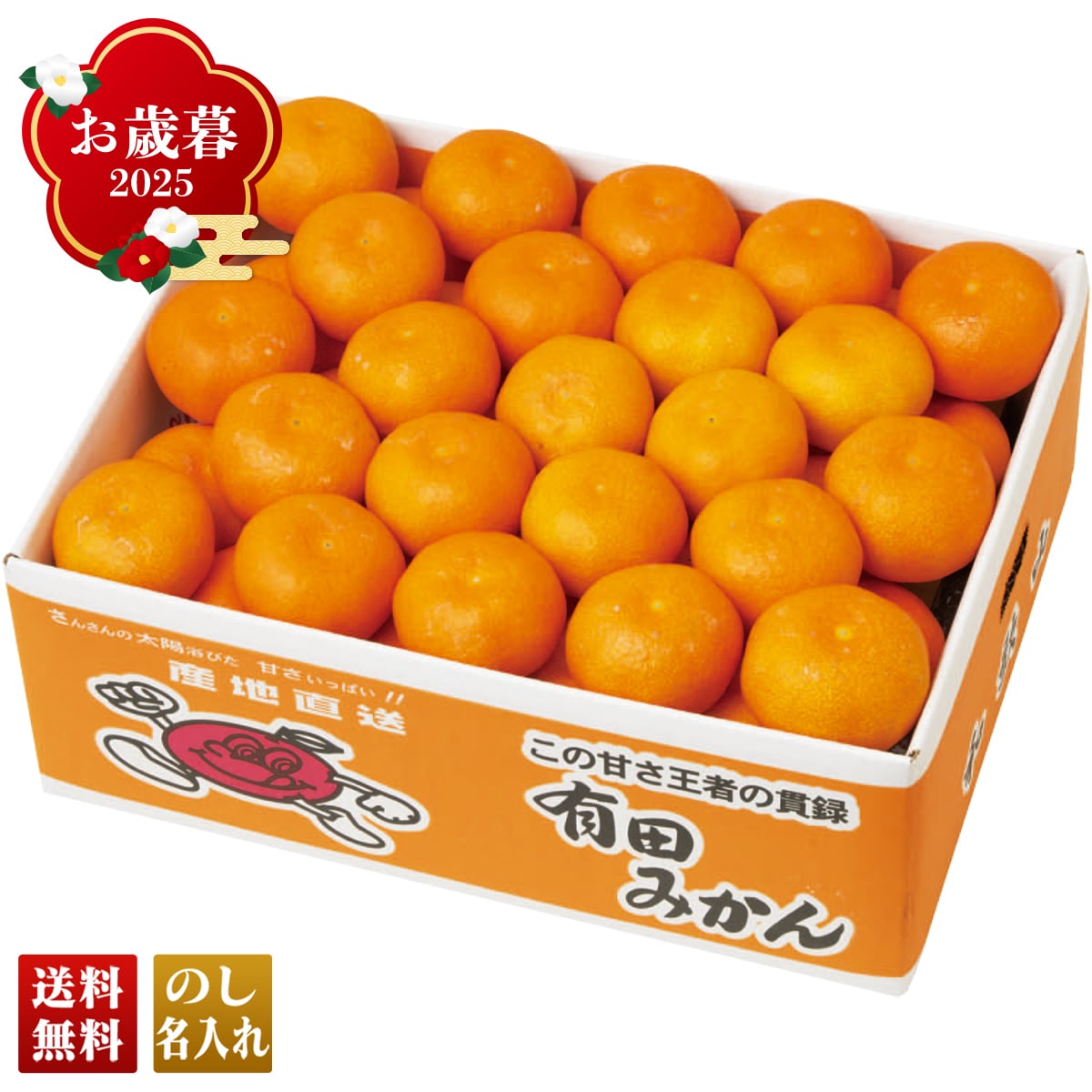 お歳暮 御歳暮 早割 冬ギフト 帰歳暮 ギフト プレゼント 送料無料 ギフト 2025 和歌山県産 有田みかん 「B13-1B」 フルーツ 果物 みかん ミカン 蜜柑 和歌山県産 B13-1B【GF】