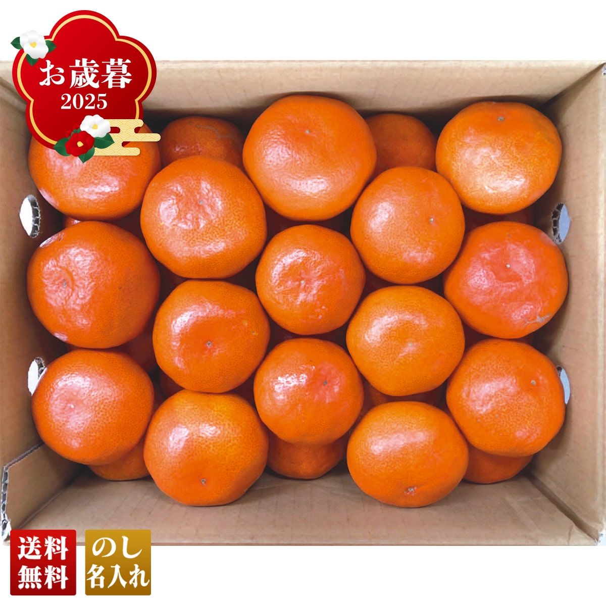 お歳暮 御歳暮 早割 冬ギフト 帰歳暮 ギフト プレゼント 送料無料 ギフト 2025 香川県産 金時紅みかん 「W13-9B」 フルーツ 果物 みかん ミカン 蜜柑 香川県産 W13-9B【GF】