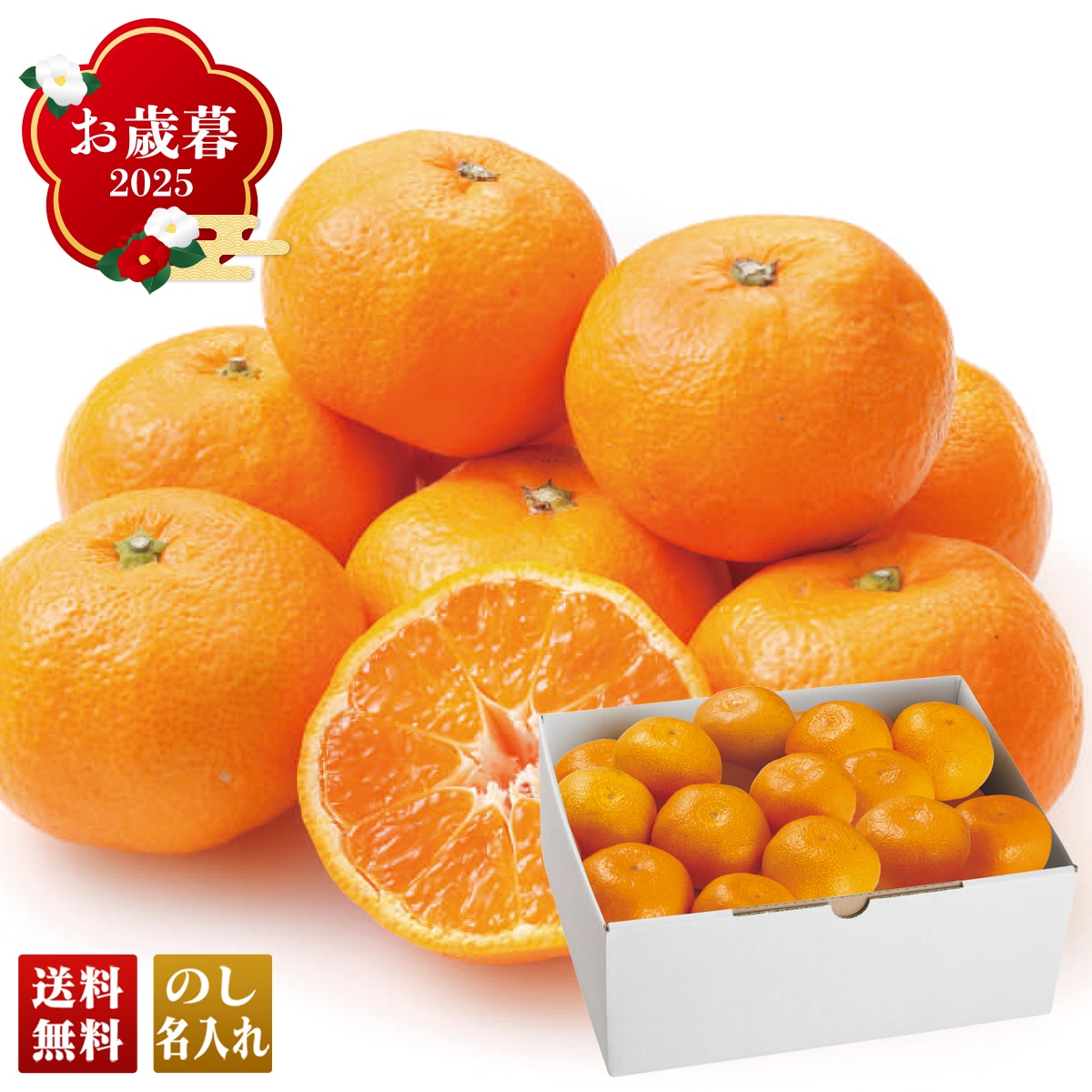 お歳暮 御歳暮 早割 冬ギフト 帰歳暮 ギフト プレゼント 送料無料 ギフト 2025 わかやま情熱みかんグループ わかやま情熱みかん 「B13-6」 フルーツ 果物 みかん ミカン 蜜柑 B13-6【GF】