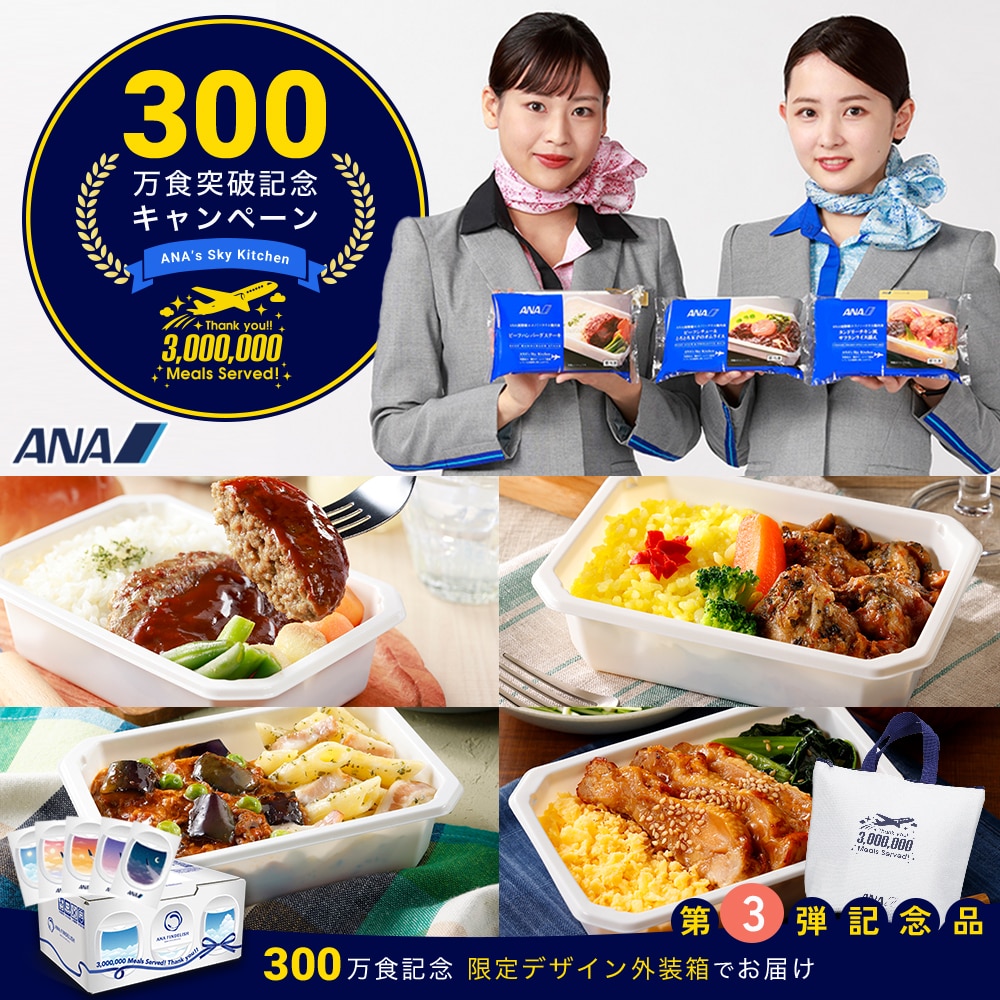 【300万食突破記念】第3弾 ルンルン!おでかけテイクオフセット(機内食8個+オリジナル保冷バッグ)
