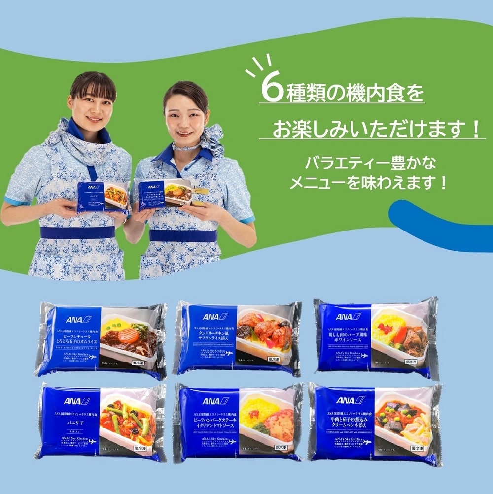 ANA 機内食 ミールカート ハーフ ６ - その他