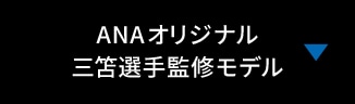 ANAオリジナル 三笘選手監修モデル