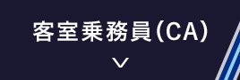 客室乗務員(CA)