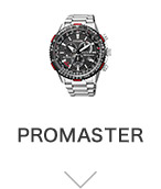 PROMASTER