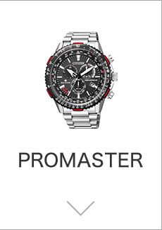 PROMASTER