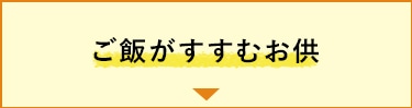 ご飯がすすむお供