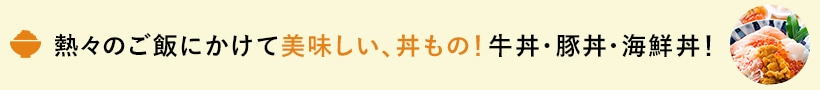 熱々のご飯にかけて美味しい、丼もの！牛丼・豚丼・海鮮丼！