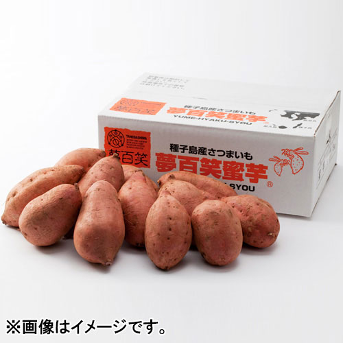＜夢百笑＞種子島蜜芋　3kg【受注締め切り日：2026/12/5】