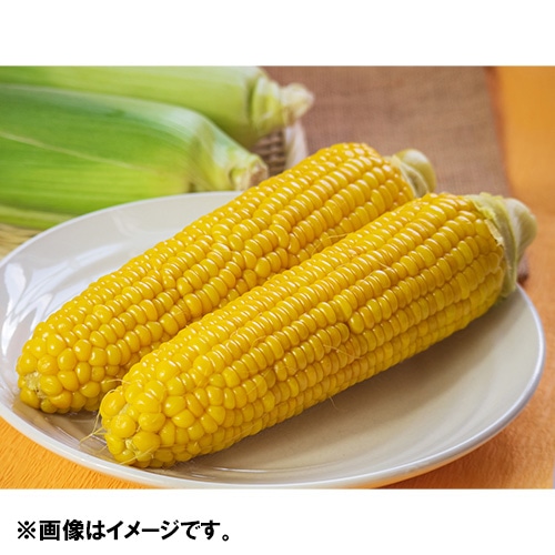 ＜北海道産＞ゴールドラッシュ（とうもろこし）3.5kg 10本【受注締め切り日：2026/8/20】