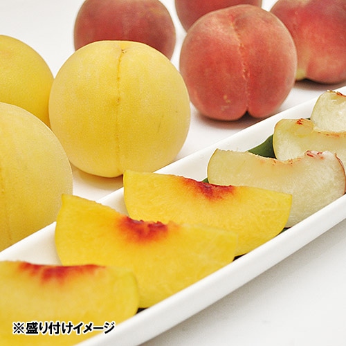 ＜福島県産＞白桃と黄桃の食べくらべ1.5kg 6玉【受注締め切り日：2026/8/25】
