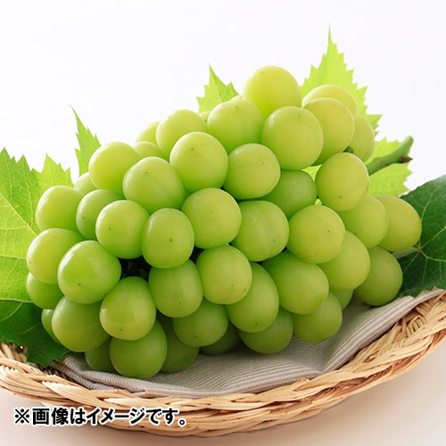 ＜岡山県産＞シャインマスカット「晴王」700g 1房【受注締め切り日：2026/9/25】