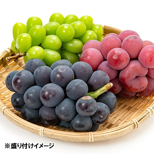 ＜山形県・大野農園＞ぶどう3種類食べくらべ【受注締め切り日：2026/10/10】
