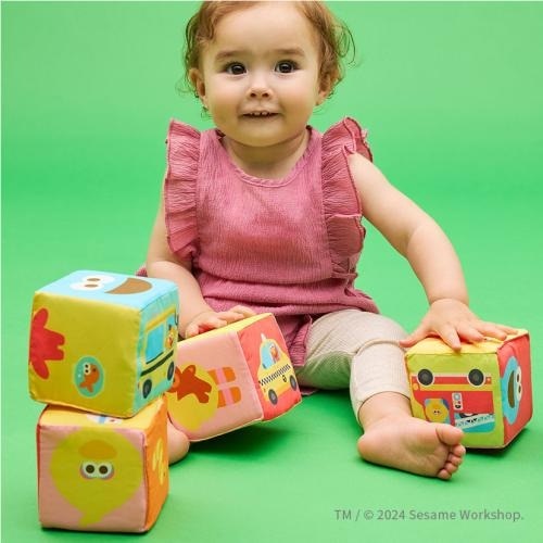 <K's Kids>ふかふか布ブロック/セサミストリート