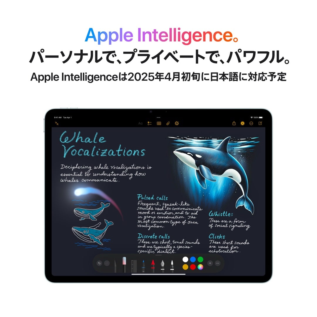 13インチiPad Air Wi-Fiモデル 256GB - スペースグレイ: Apple Rewards