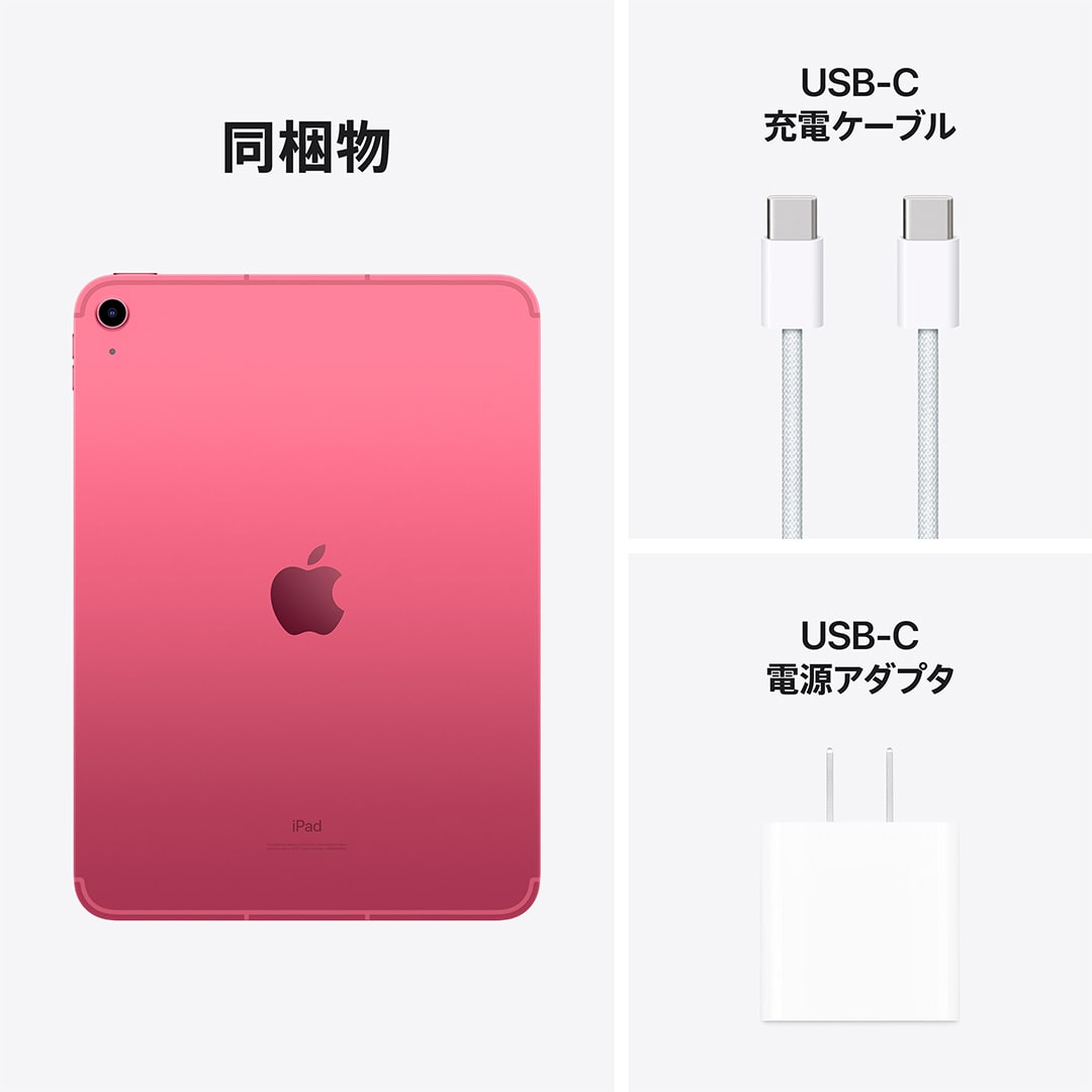 10.9インチiPad Wi-Fi + Cellularモデル 256GB - ピンク Apple Rewards Store - Kidder-mfg