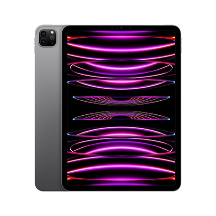 11インチiPad Pro Wi-Fiモデル 256GB - スペースグレイ: Apple Rewards 