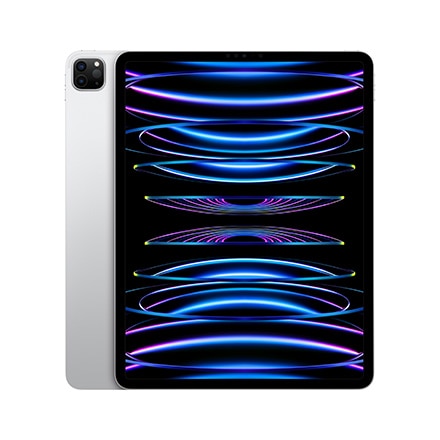 iPad Pro(第5世代)Wi-Fiモデル　128GB