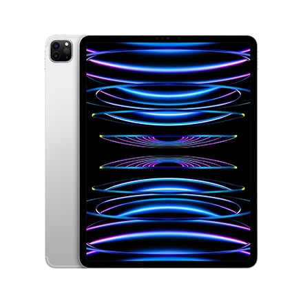 iPad Pro wifi cellularモデル256GB