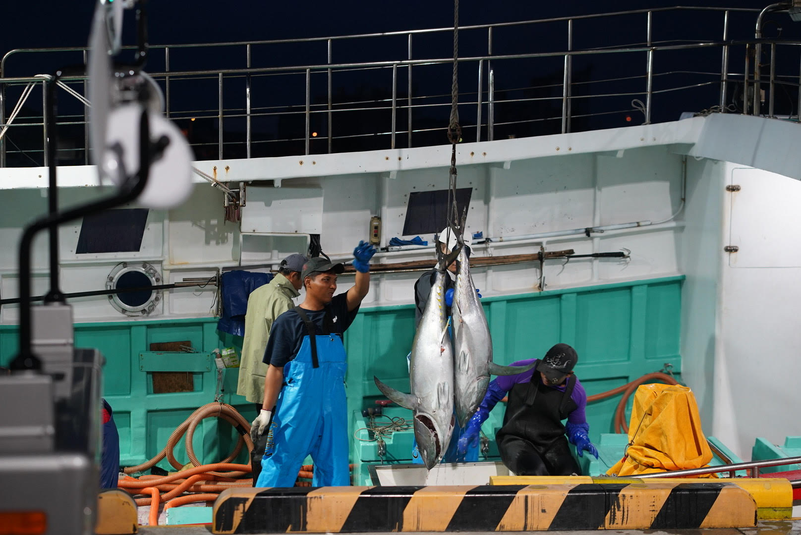 【冷凍】【高知・美阿丸】まぐろコロッケ&串カツセット(送料無料)