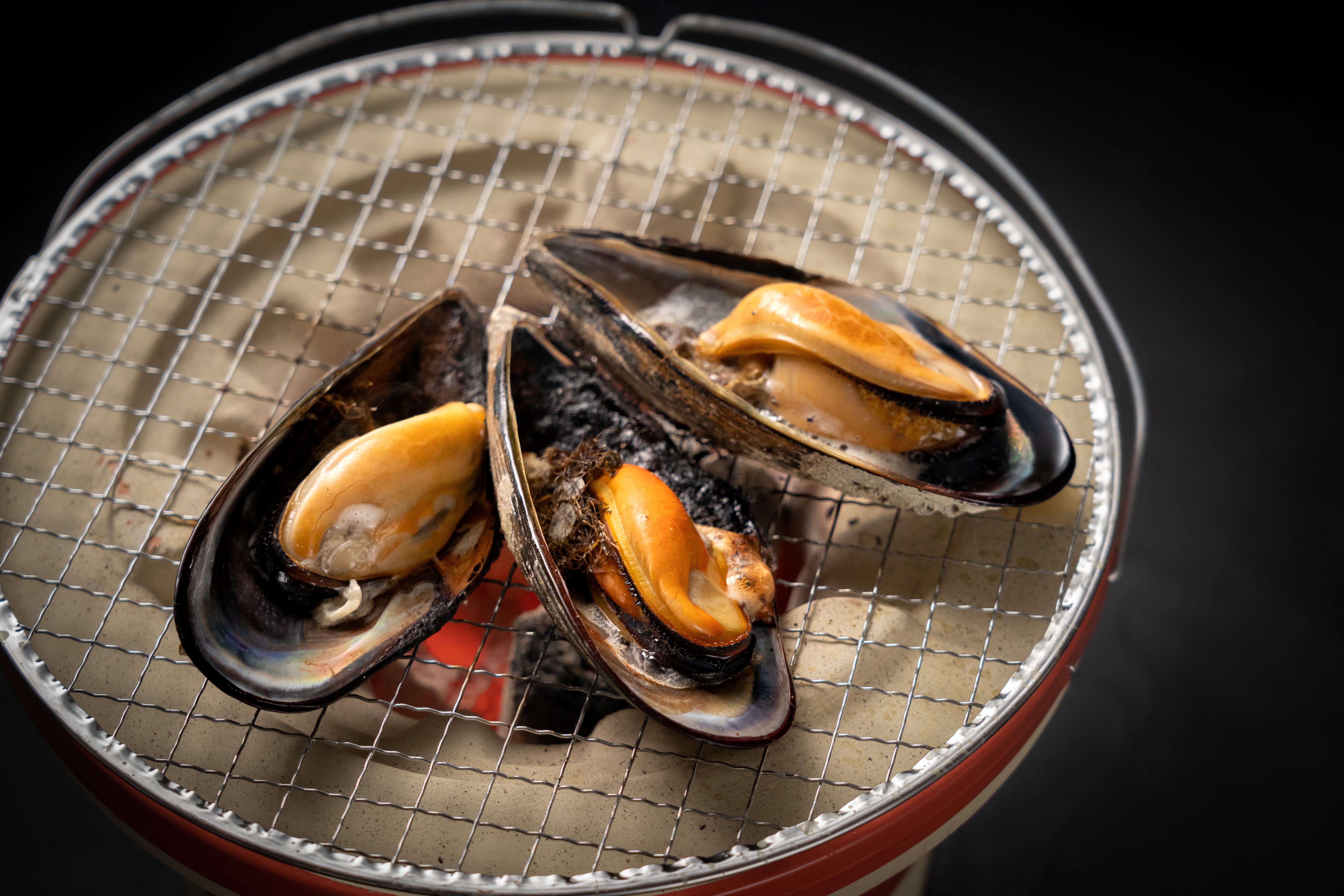 冷蔵】【愛媛県今治・ 今治地方観光協会】瀬戸貝詰合せ/3kg(送料無料