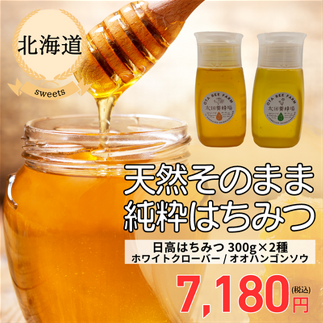 蜂蜜 オオハンゴンソウ蜜 300gボトル - 調味料・料理の素・油