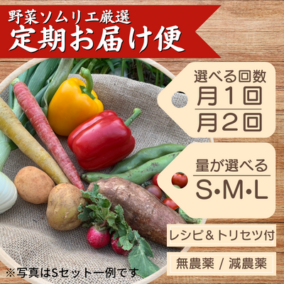 【定期便】季節のお野菜セット<Sサイズ>