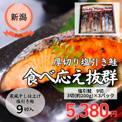 【冷蔵】【新潟県・塩引き鮭・村上鮭専門店さいとう】塩引鮭　9切（送料無料）