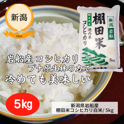 【新潟県・貝沼農場 】新潟県岩船産 棚田米コシヒカリ白米５kg(送料無料)