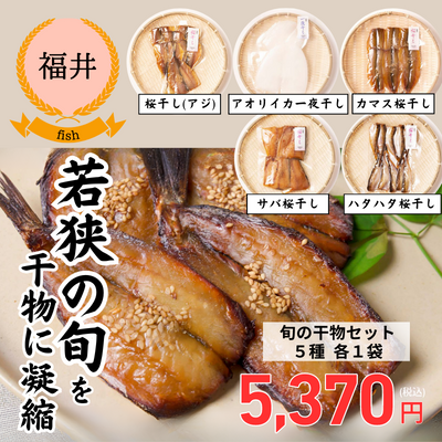 【冷凍】【福井県若狭湾・UMIKARA】迷ったらコレ!おうちで食べたい旬の干物セット（送料無料）