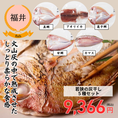 【冷凍】【福井県若狭湾・UMIKARA】旬を味わう贅沢！魚の美味しさを閉じ込めた、若狭の灰干し５種セット（送料無料）