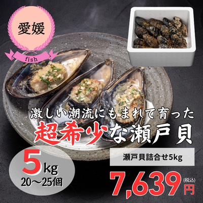【冷蔵】【愛媛県今治・ 今治地方観光協会】瀬戸貝詰合せ/5kg(送料無料)