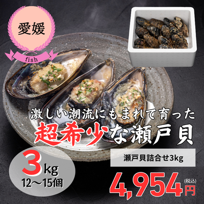 【冷蔵】【愛媛県今治・ 今治地方観光協会】瀬戸貝詰合せ/3kg(送料無料)