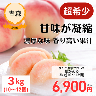農家さん応援企画!<予約販売>【青森・きむら果樹園】りんご農家が育てた桃・夏かんろ<3kg・10-12玉>(送料無料)