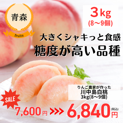 農家さん応援企画！＜予約販売＞【青森・きむら果樹園】りんご農家が育てた桃・川中島白桃＜3kg・8-9玉＞(送料無料)