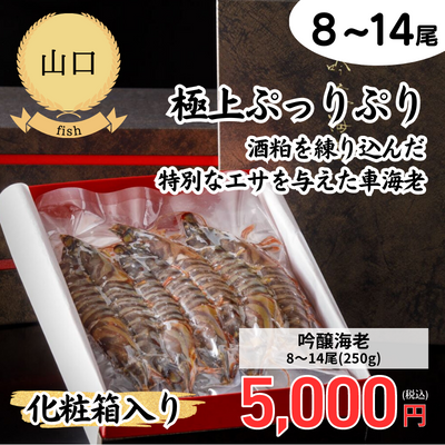 【冷凍】【山口県】株式会社Archis〈化粧箱入り〉吟醸海老8～14尾(250g)（送料無料）