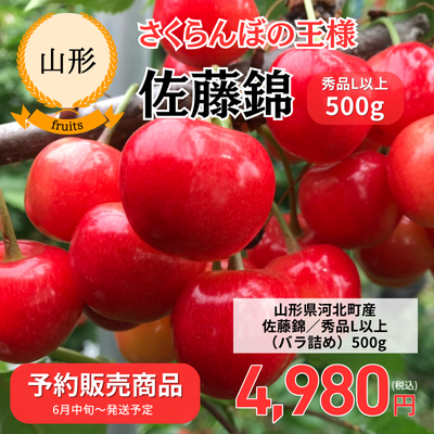 予約販売【山形県河北町】佐藤錦(秀L)500gバラ詰め ※6月中旬~お届け予定