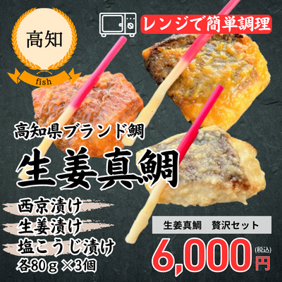 【冷凍】【高知・N’ｓファクトリー】生姜真鯛 贅沢セット（3種×3個）