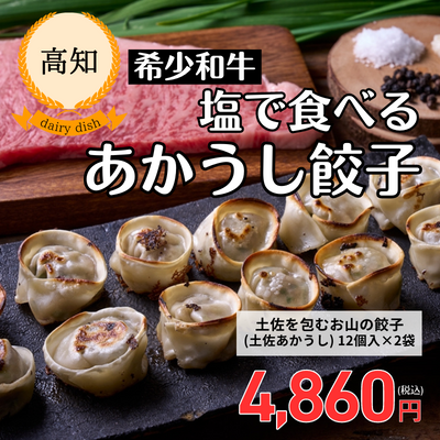 【冷凍】【高知・穀】土佐を包むお山の餃子<土佐あかうし>(12個入×2袋)(送料無料)