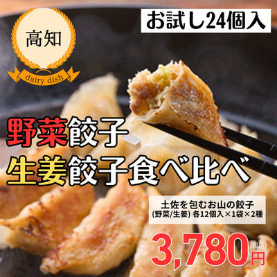 【冷凍】【高知・穀】土佐を包むお山の餃子＜野菜＋生姜＞（12個入×各1袋）（送料無料）