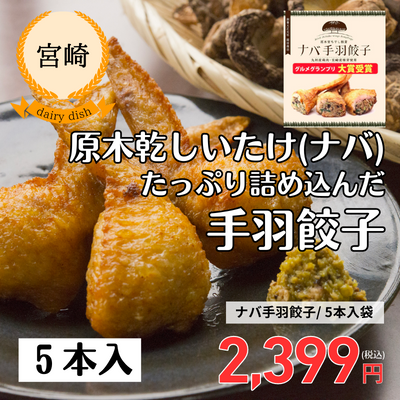 【宮崎・岡田商店】冷凍・ナバ手羽餃子5本入り(送料無料)