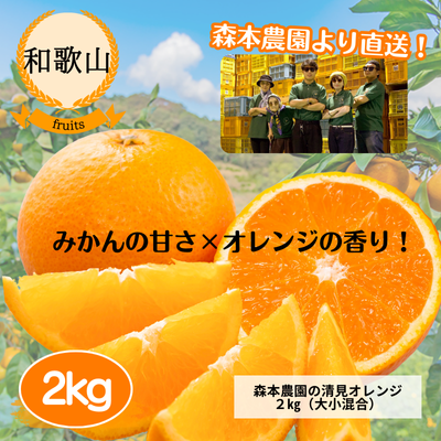 【和歌山・森本農園】清見オレンジ2kg(送料無料)