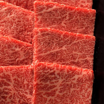 前沢牛焼肉用〔牛肉500g、牛脂20g〕岩手県 前沢牛オガタ: 産直お