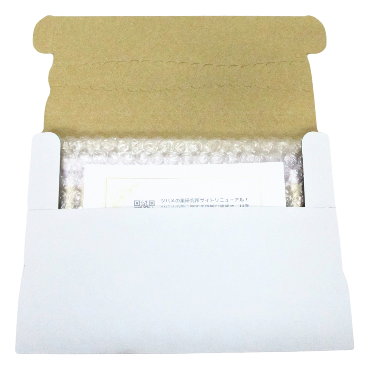 NEW HESTIAP ツバメの巣 スティックゼリー 〔10g×30本〕 ゼリー スイーツ